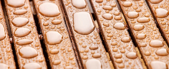 Opady deszczu, zwłaszcza intensywne, mogą wpływać na stan wody, dlatego warto regularnie ją badać.